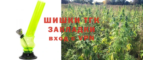 не бодяженный Каменск-Шахтинский