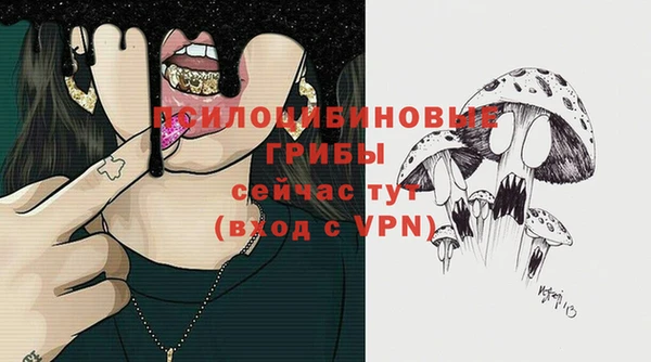 синтетический гашиш Каменногорск