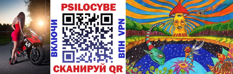Галлюциногенные грибы Psilocybine cubensis  Купить закладки  Луза 