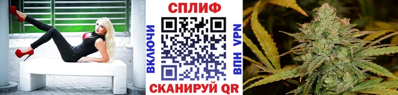 Канабис THC 21%  Купить закладки  Луза 